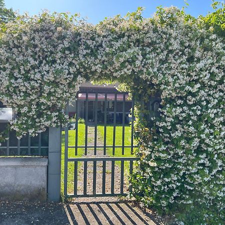 Villa Garda Art&Garden Volta Mantovana Exterior foto