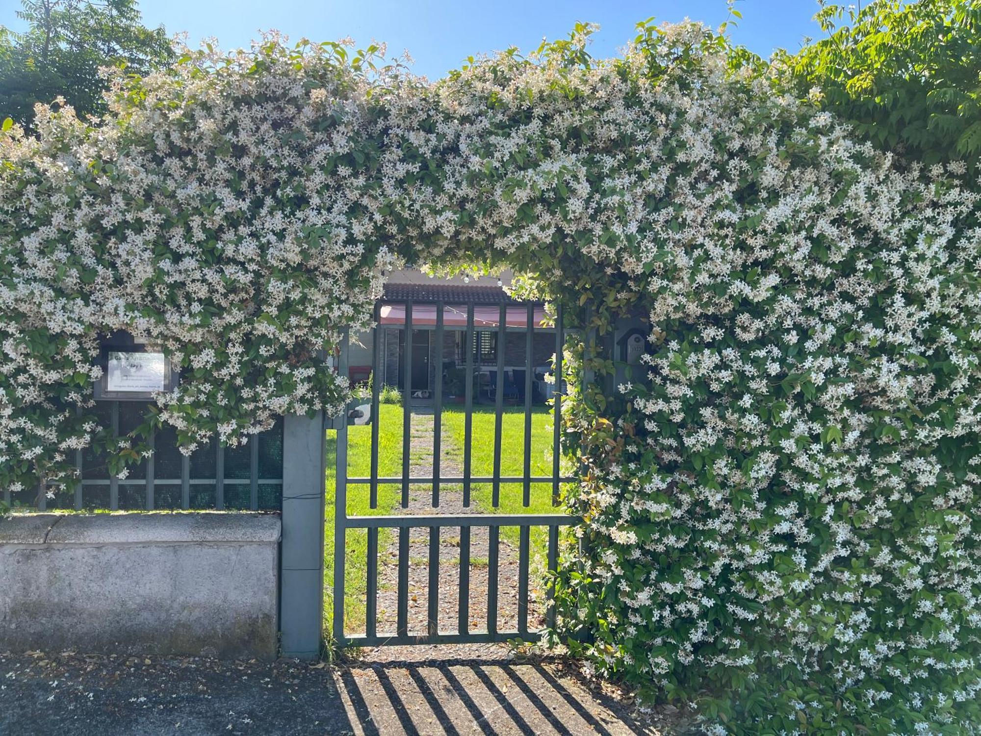 Villa Garda Art&Garden Volta Mantovana Exterior foto