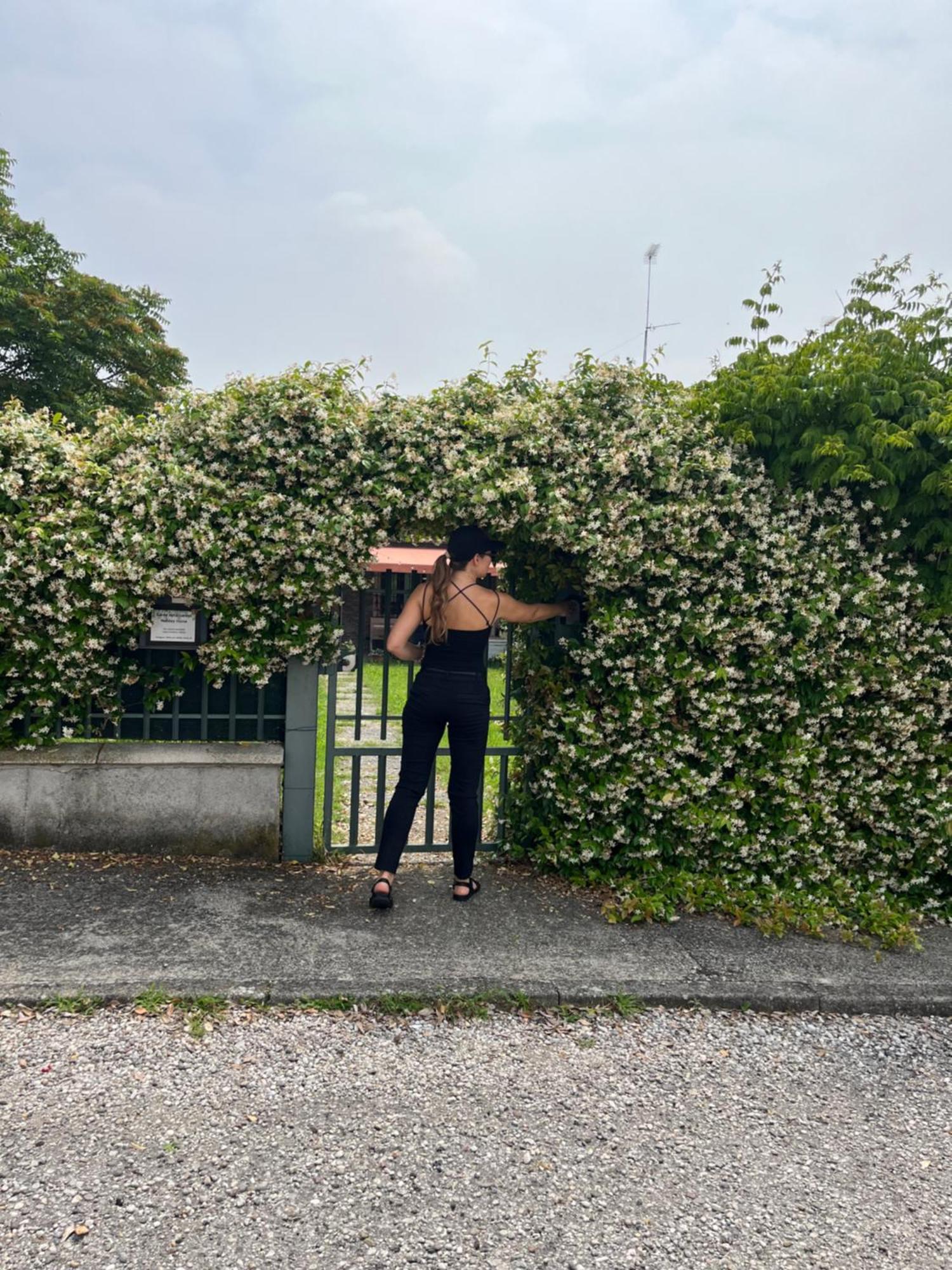 Villa Garda Art&Garden Volta Mantovana Exterior foto